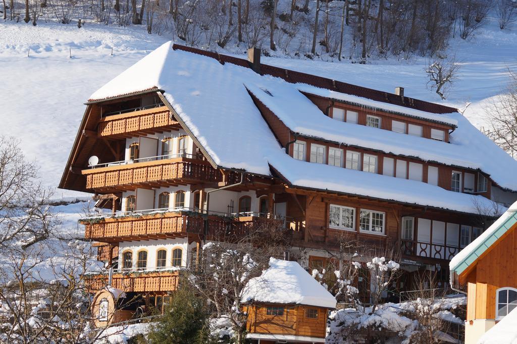 Апарт готель Ehrenmattlehof Faisst Бад-Петерсталь-Ґрісбах Екстер'єр фото