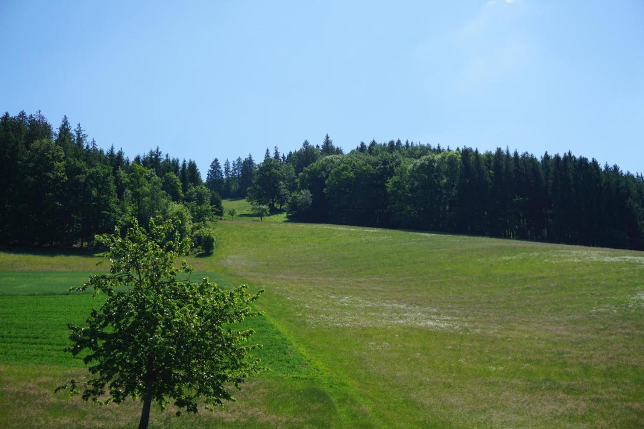 Апарт готель Ehrenmattlehof Faisst Бад-Петерсталь-Ґрісбах Екстер'єр фото