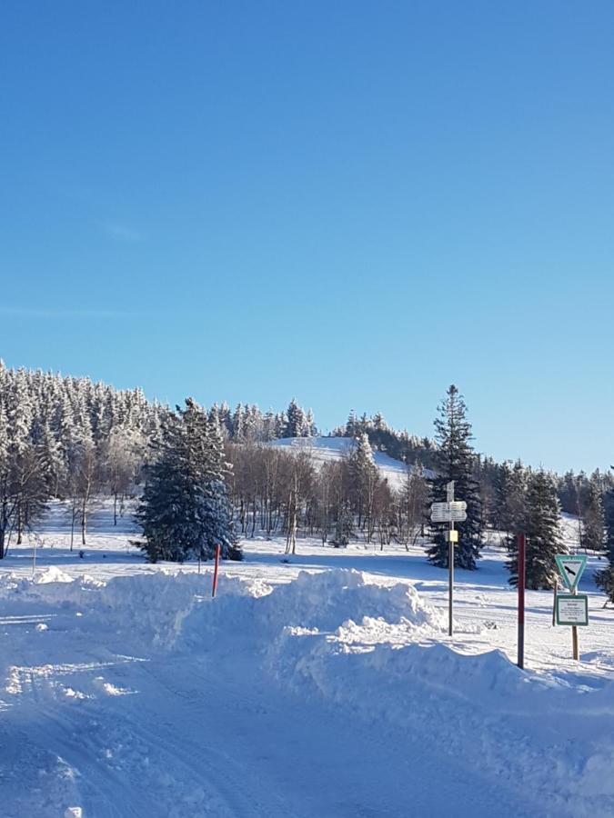 Апарт готель Ehrenmattlehof Faisst Бад-Петерсталь-Ґрісбах Екстер'єр фото