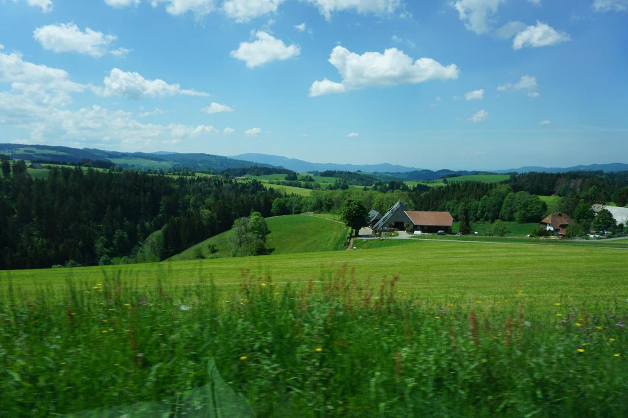 Апарт готель Ehrenmattlehof Faisst Бад-Петерсталь-Ґрісбах Екстер'єр фото