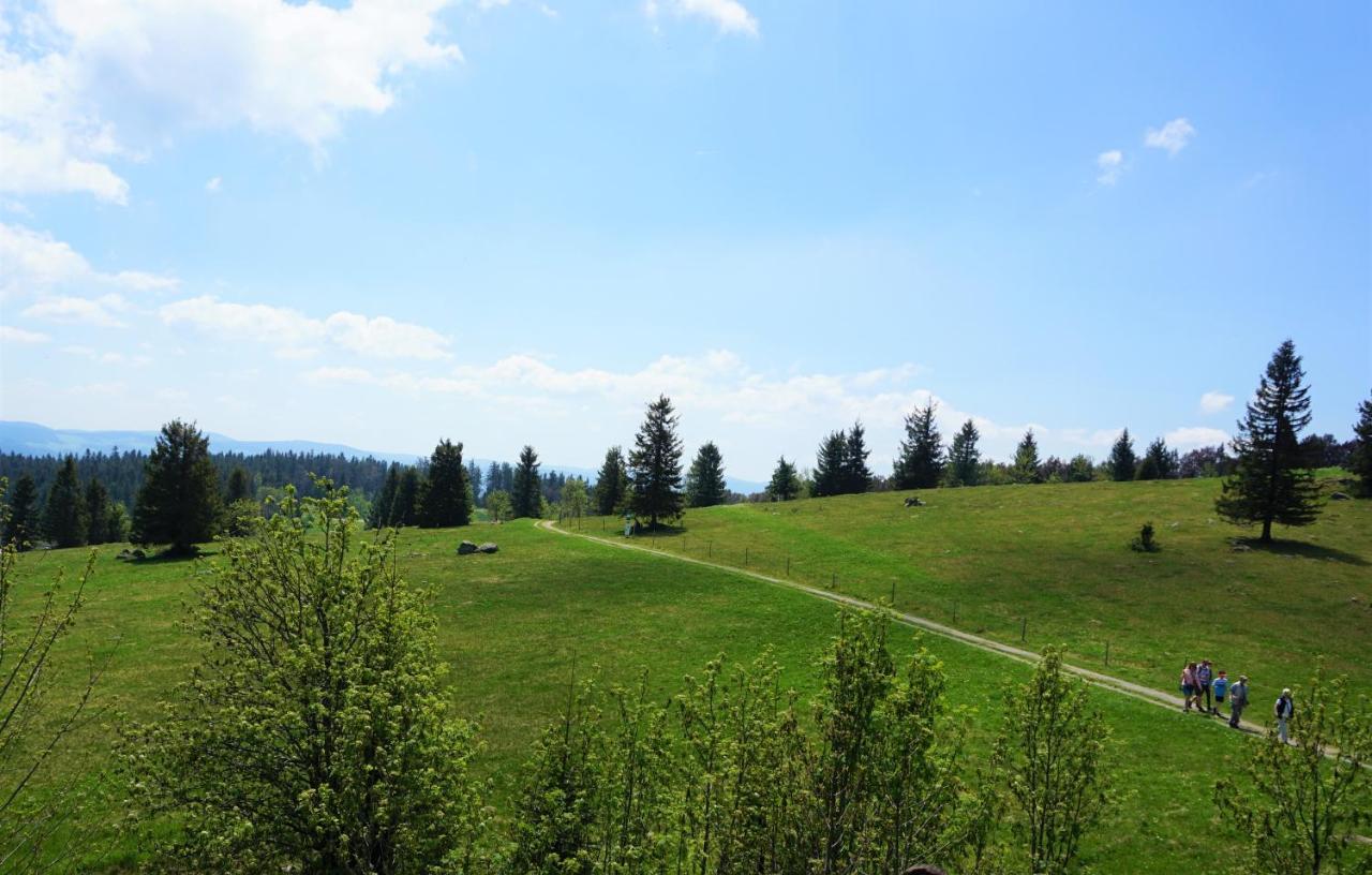 Апарт готель Ehrenmattlehof Faisst Бад-Петерсталь-Ґрісбах Екстер'єр фото