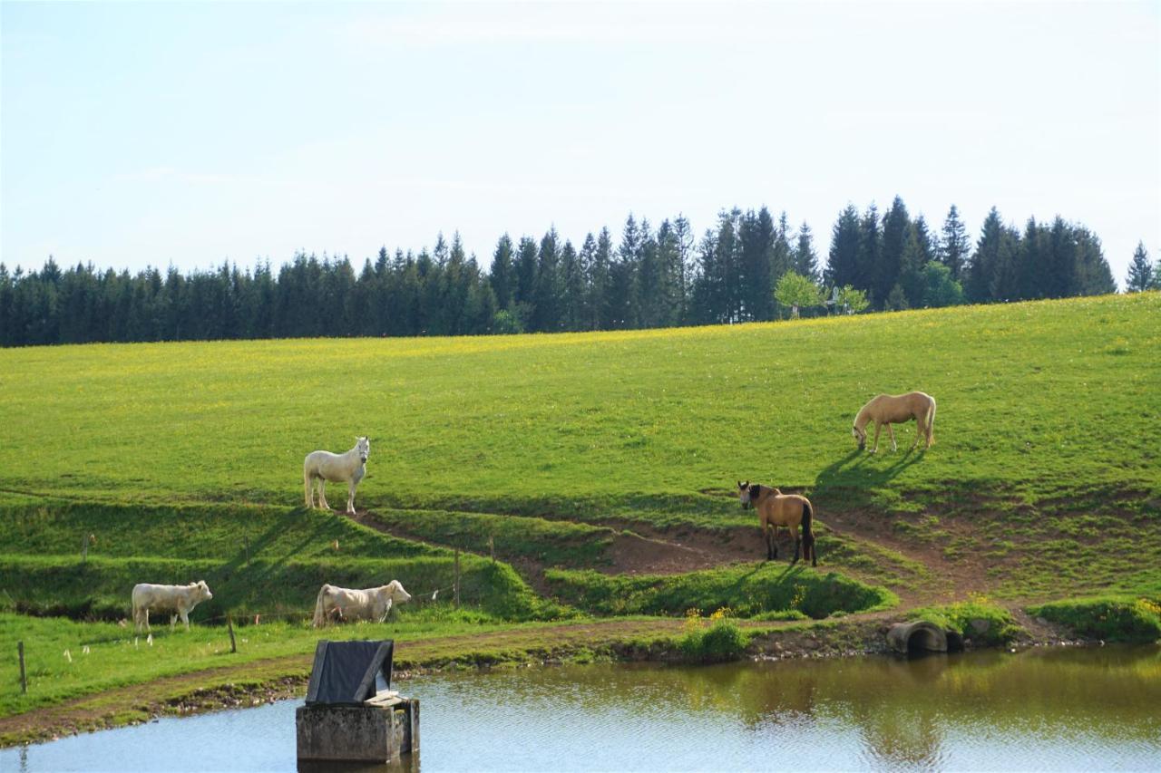 Апарт готель Ehrenmattlehof Faisst Бад-Петерсталь-Ґрісбах Екстер'єр фото