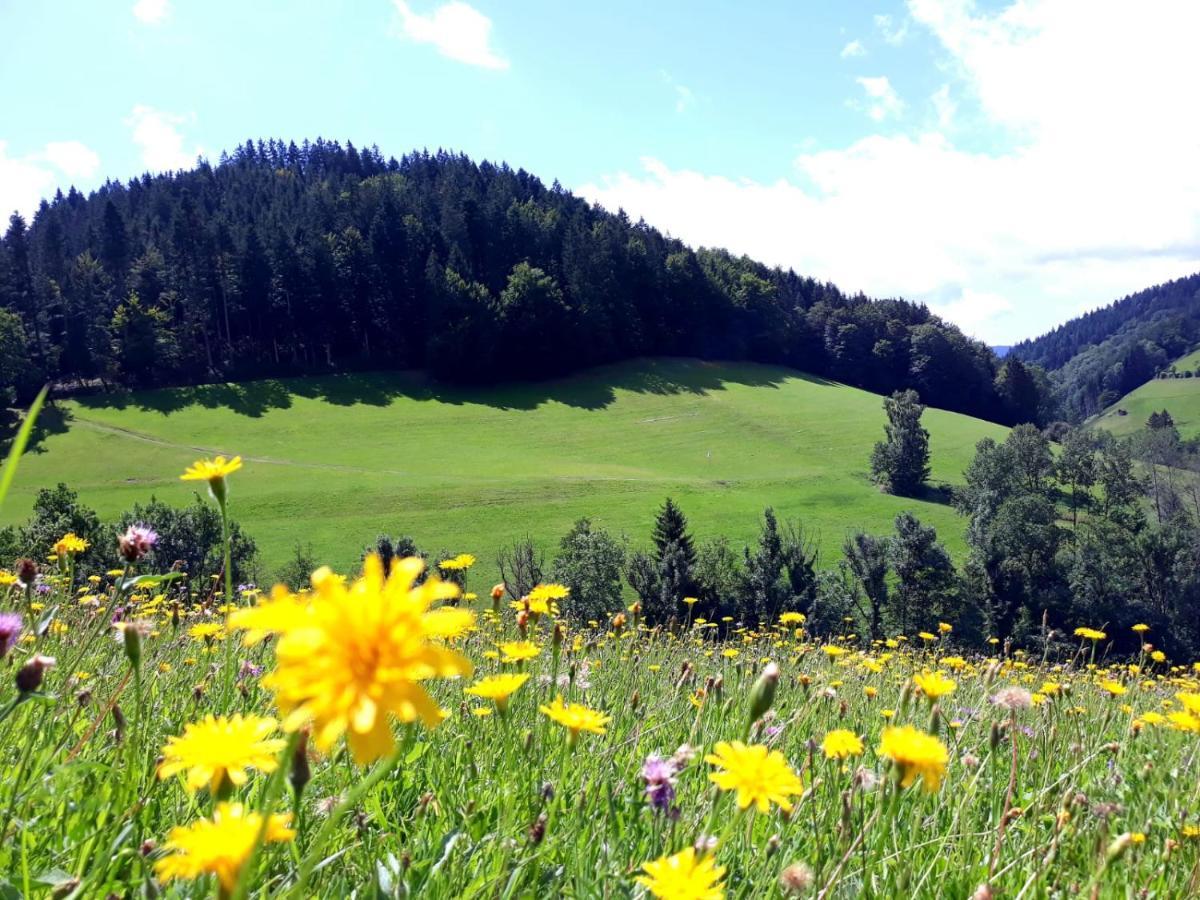 Апарт готель Ehrenmattlehof Faisst Бад-Петерсталь-Ґрісбах Екстер'єр фото